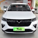 2026 Wuling Alvez– China Export Vehicle | NVOVA