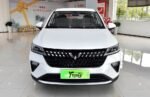 2026 Wuling Alvez– China Export Vehicle | NVOVA