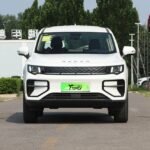 Geely Radar KingKong – Factory Price From China |  Chinese Ev Cars in Ethiopia