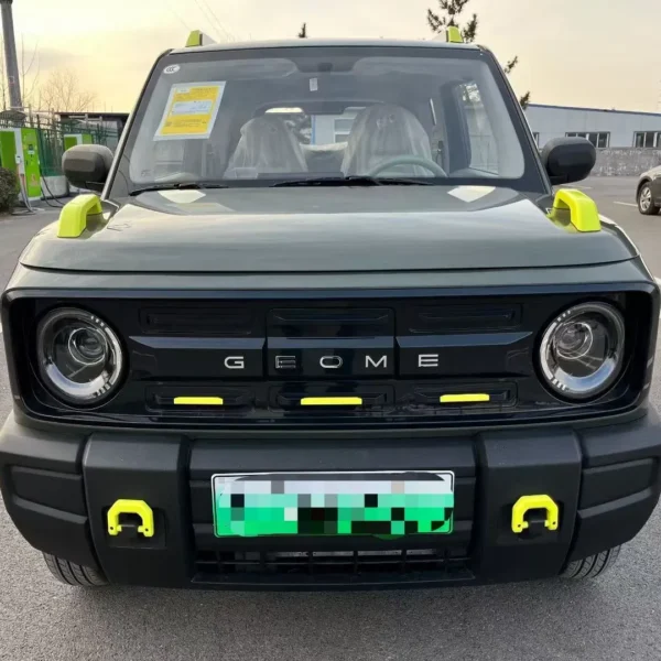 2026 Geely Panda Mini New Energy Small EV– In Stock in China |  Chinese Ev Cars in Ethiopia