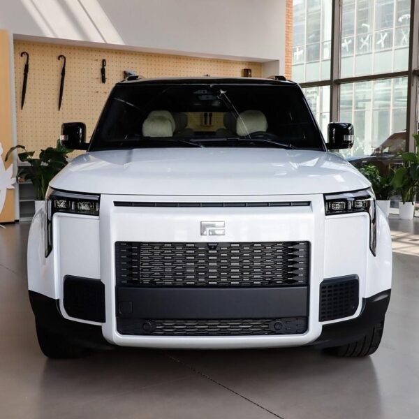 Rox 01 2026 Exclusive 6-Seat Version New Energy Long Range Car– Ships Worldwide From China |  Chinese Ev Cars in Ethiopia