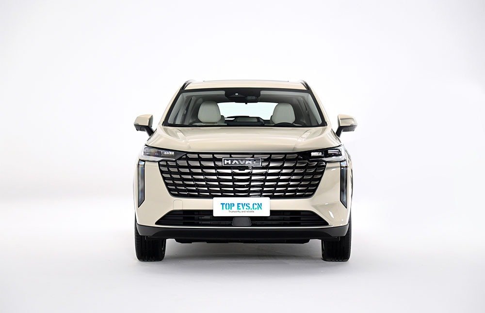 imgi_3_1_3(10) GWM Haval H6– For Sale From China | Chinese Ev Cars in Ethiopia - Image 1