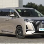 DENZA D9– For Sale From China | NVOVA