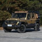 Baic/BAW 212 T01– Buy Direct From China | Chinese Ev Cars in Ethiopia